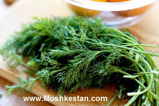 ضرر شوید برای چشم