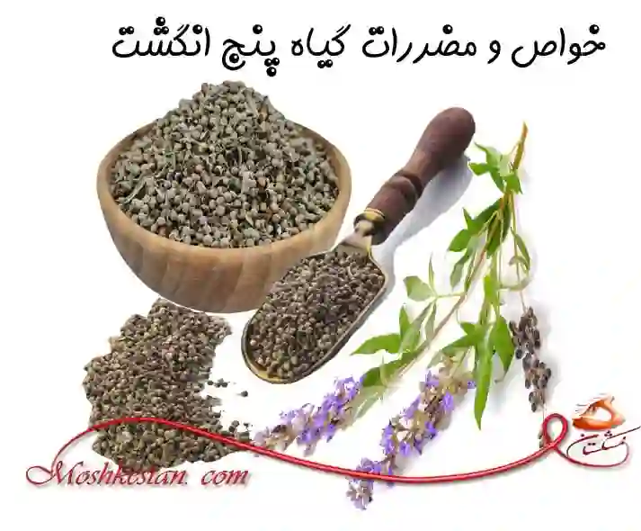 خواص و مضررات گیاه پنج انگشت