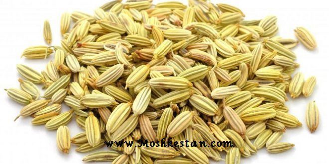 خواص رازیانه ناباروری