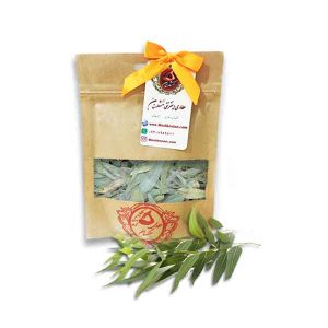 خرید برگ اکالیپتوس