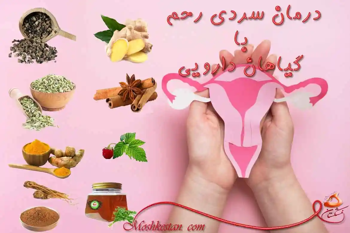 درمان سردی رحم با گیاهان دارویی