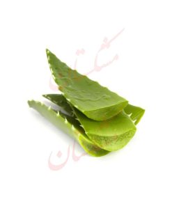 خواص قیمت و خرید اینترنتی برگ آلوئه ورا