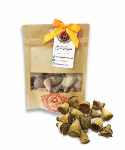 خواص قیمت خرید فروش گرز شقایق