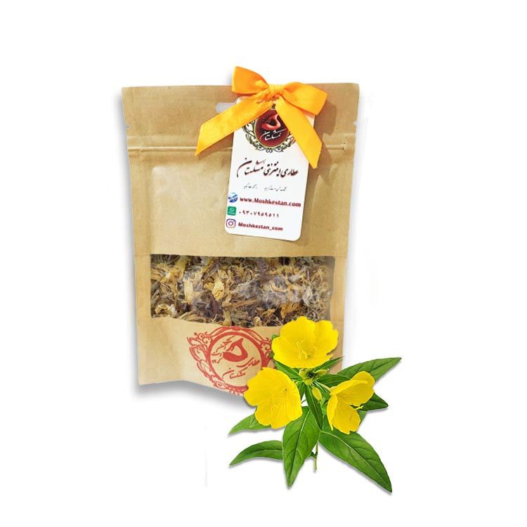 خواص قیمت خرید فروش گل مغربی خواص قیمت خرید فروش گل مغربی