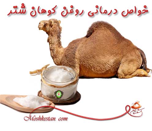 خواص درمانی روغن کوهان شتر