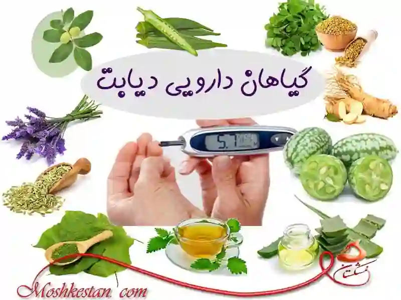 گیاهان دارویی دیابت