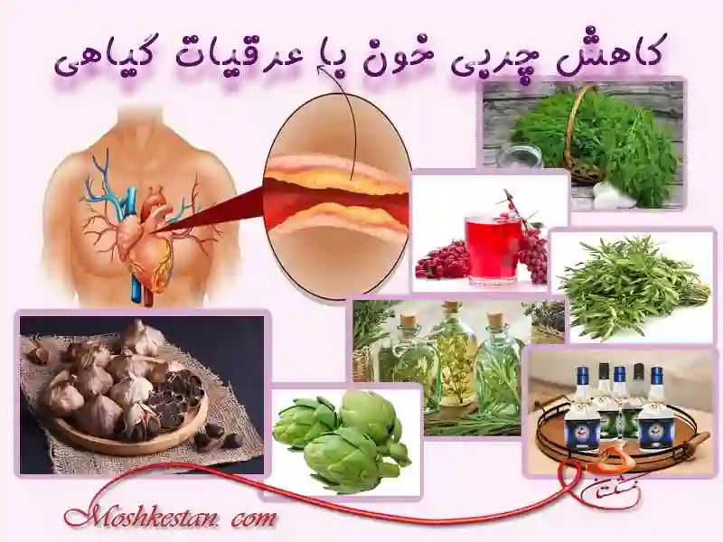 کاهش چربی خون با عرقیات گیاهی