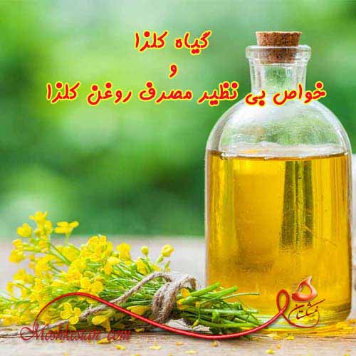آیا میدانید روغن گیاهی کلزا چه استفاده ای دارد ؟