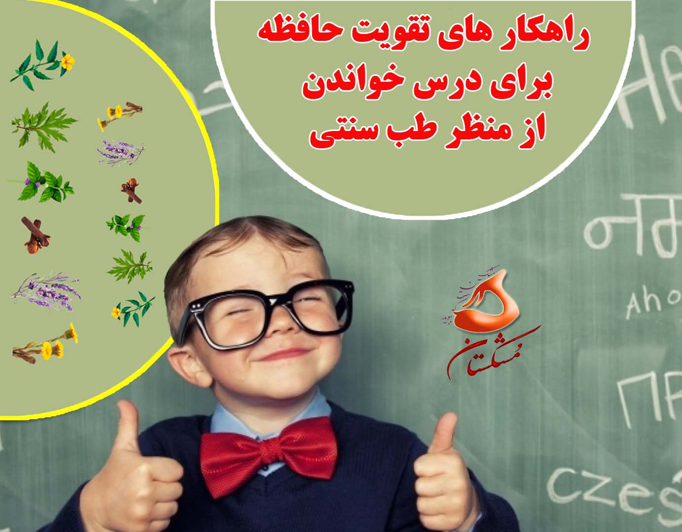 راهکار های تقویت حافظه برای درس خواندن از منظر طب سنتی