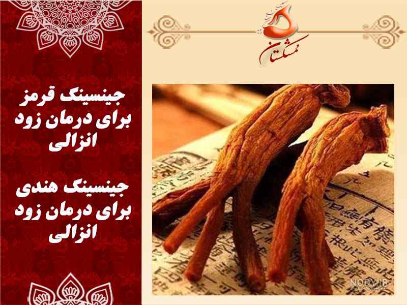 جینسینگ برای زود انزالی