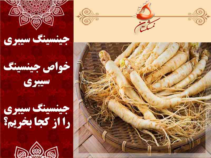 جینسینگ سیبری