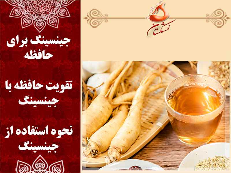 جینسینگ برای تقویت حافظه