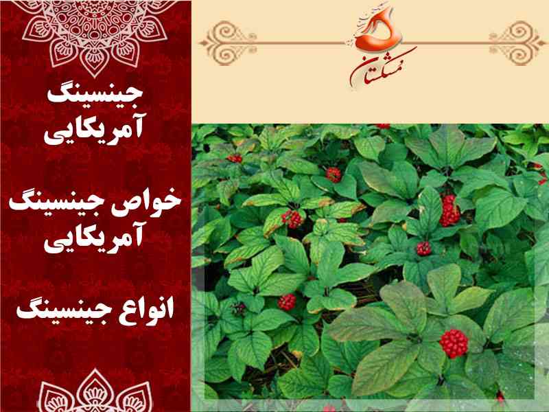 جینسینگ آمریکایی