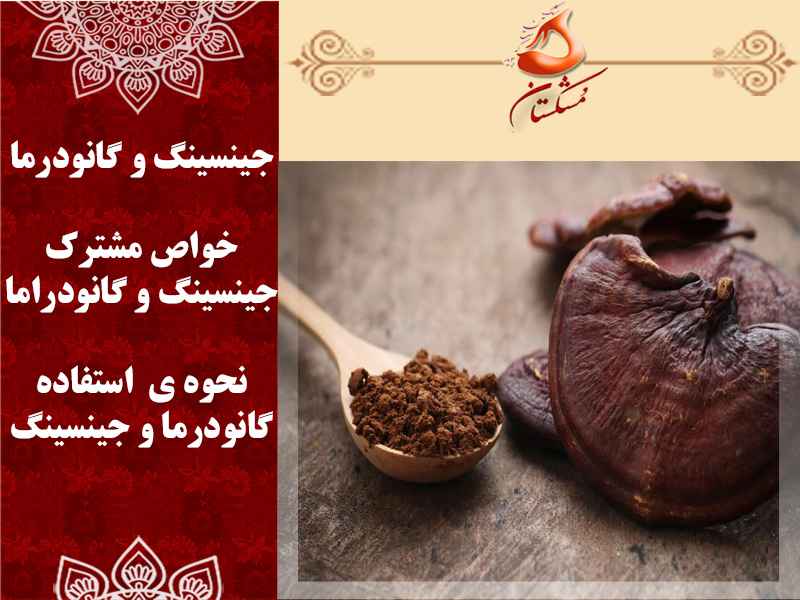 قارچ گانودرما و جینسینگ