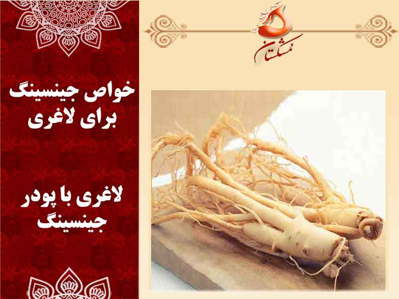 جینسینگ برای لاغری