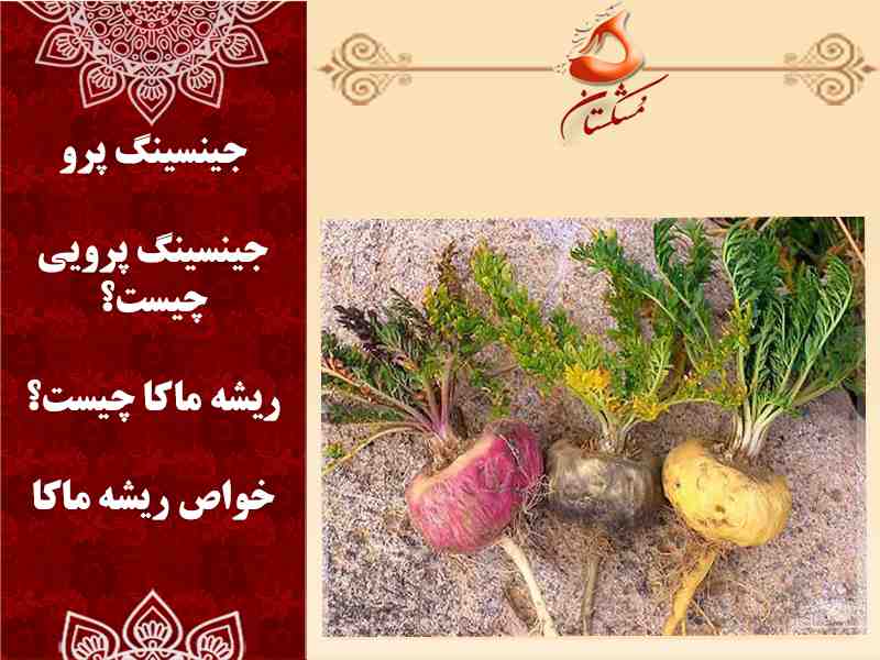 جینسینگ پرو