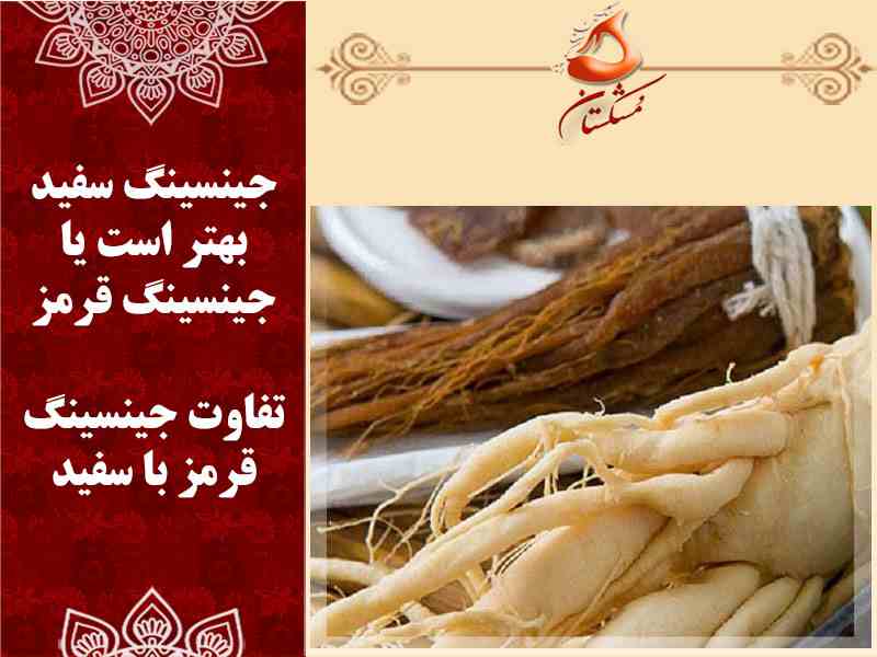 جینسینگ قرمز با جینسینگ سفید