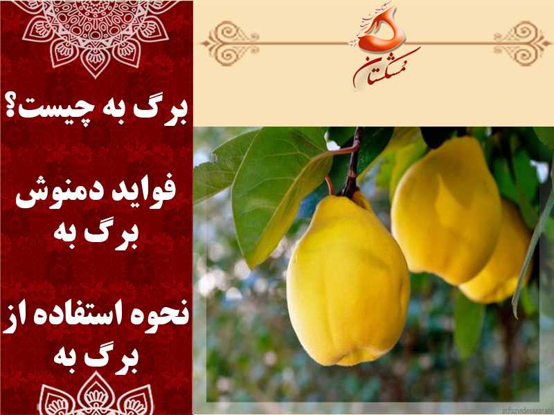 برگ به