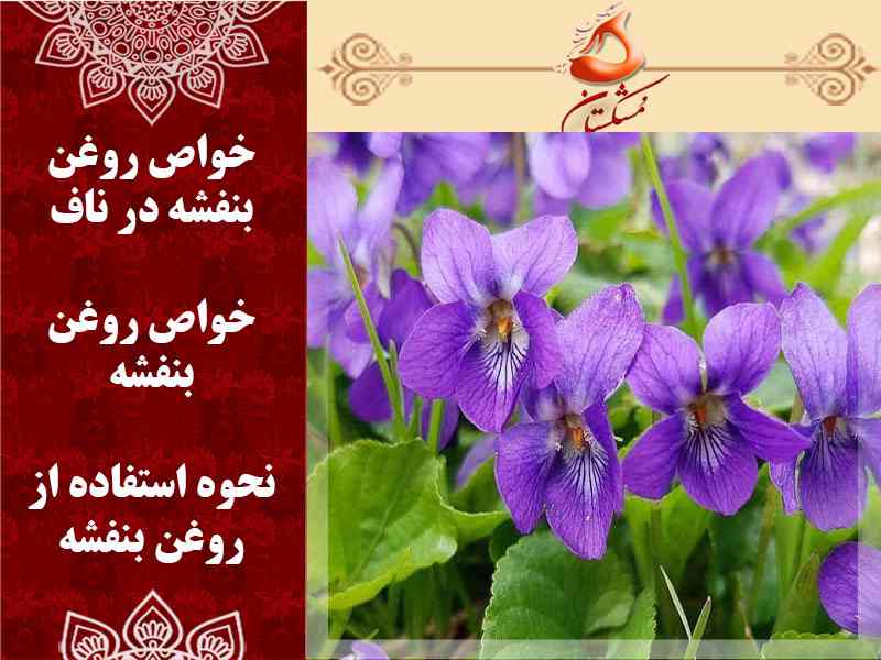 روغن بنفشه در ناف