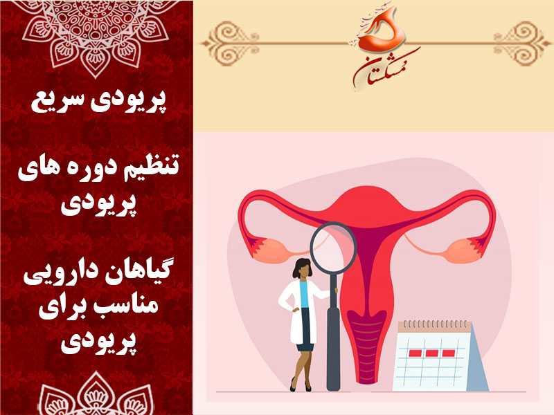 پریودی سریع