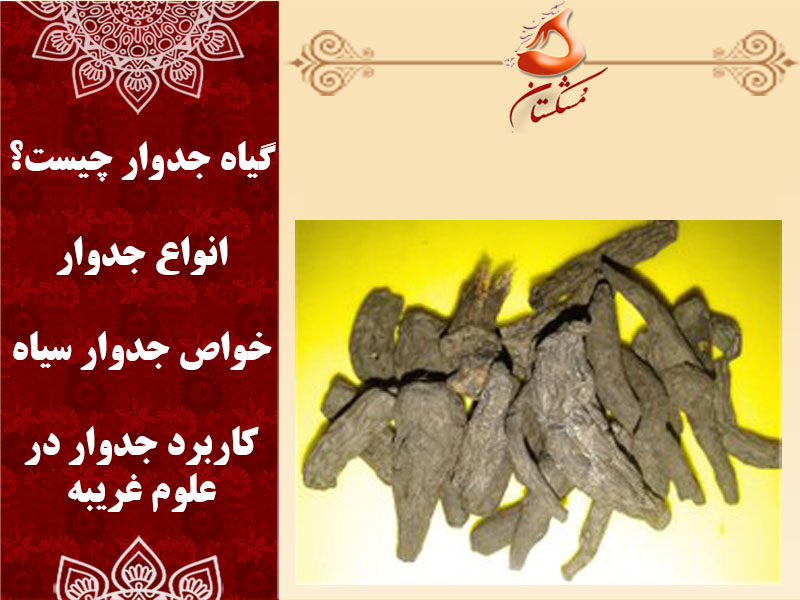 گیاه جدوار
