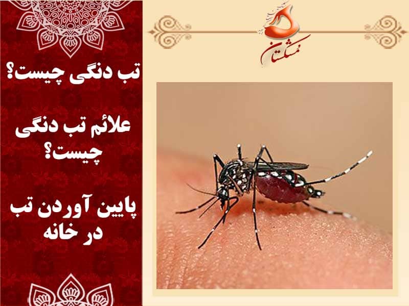 تب دنگی چیست؟