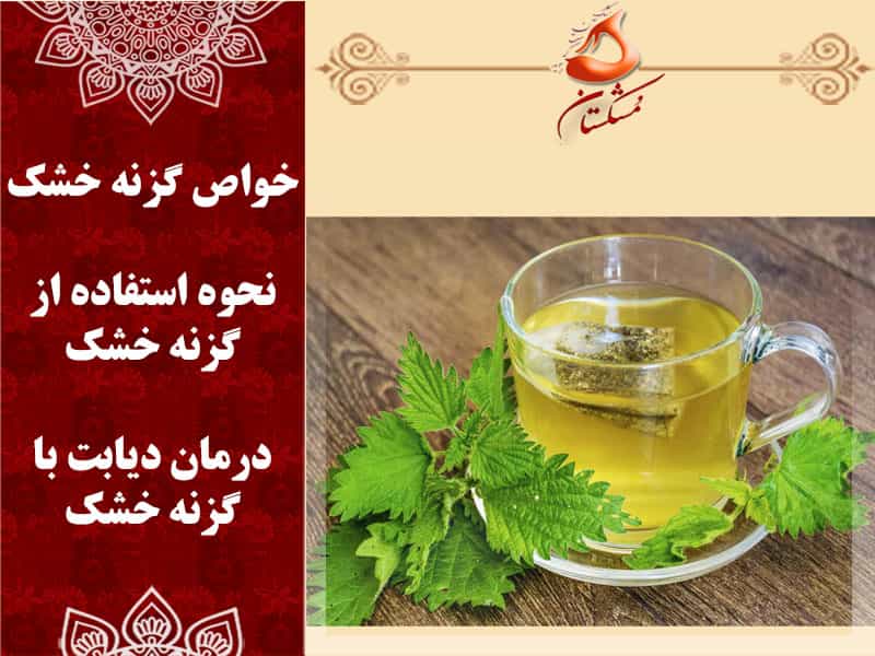 خواص گزنه خشک