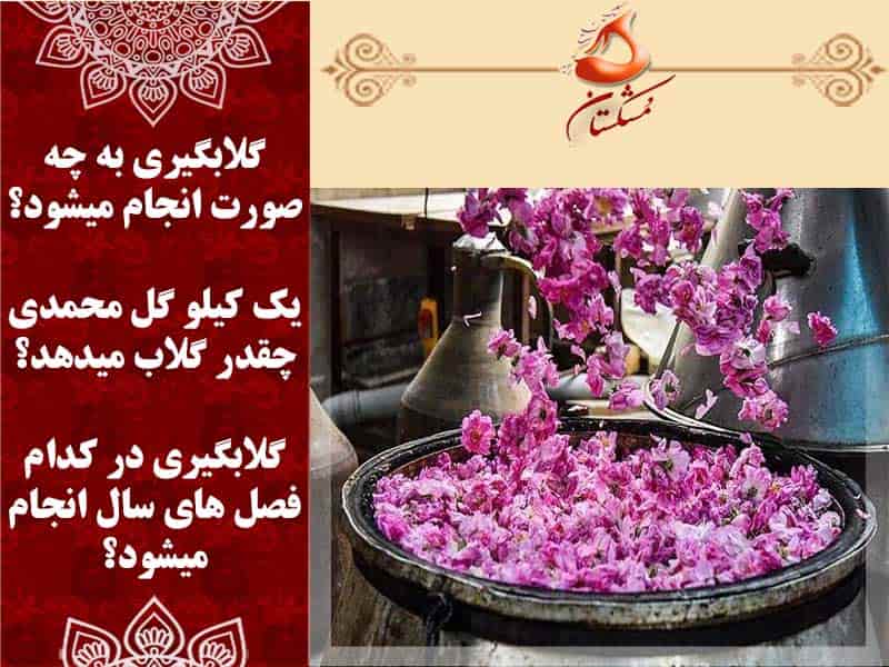 گلابگیری