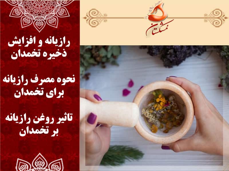 رازیانه و افزایش ذخیره تخمدان