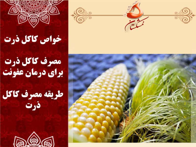 خواص کاکل ذرت برای عفونت