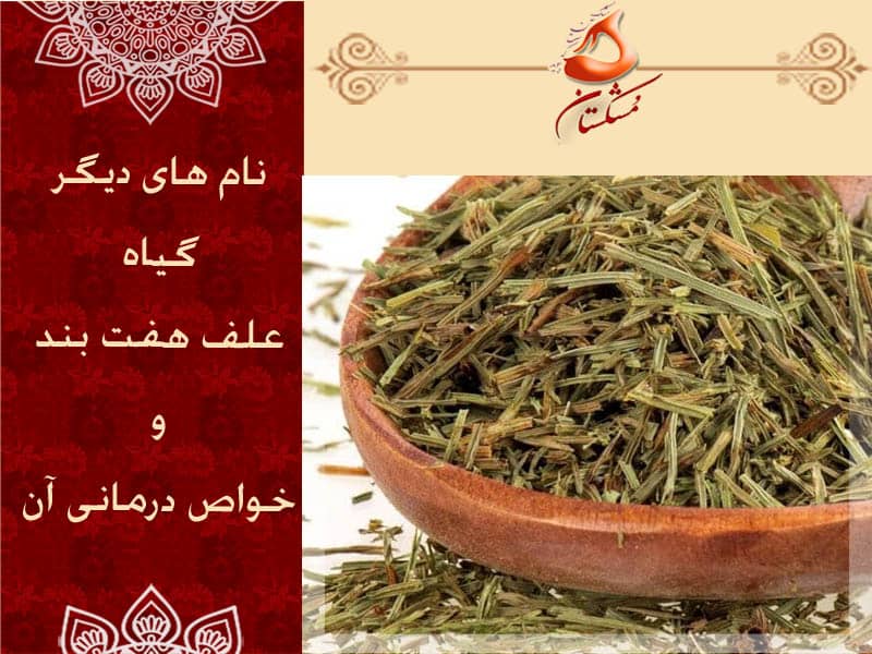 نام های دیگر علف هفت بند