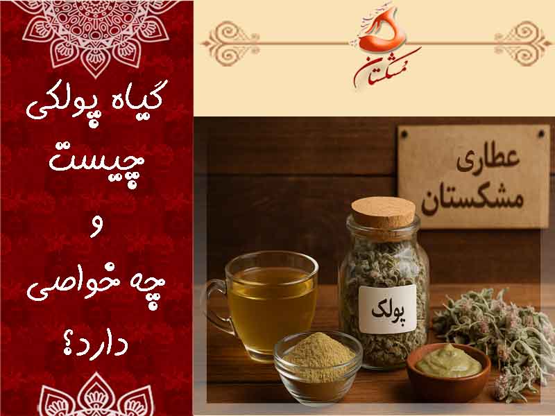 گیاه پولکی چیست ؟