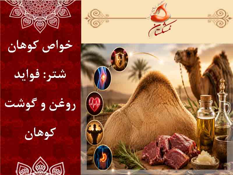 خواص کوهان شتر