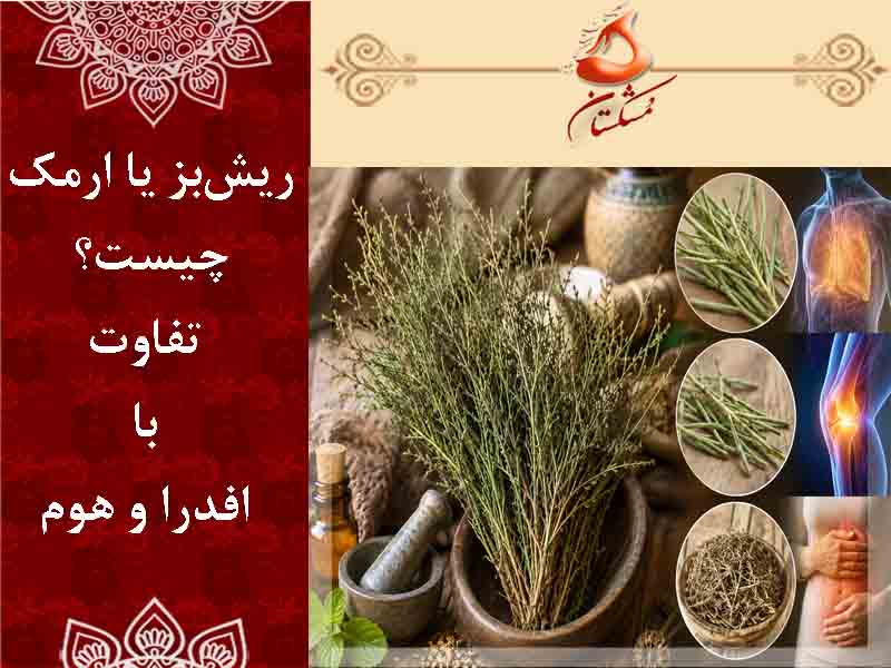 ریش بز چیست